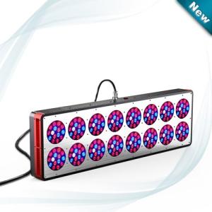 Quality 580W High Power Led Hydroponic Lamp Plant Grow Light Apollo Lens Full Spectrum 240x3W=720W wholesale