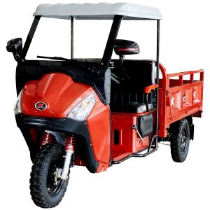 Quality DAYANG Classic Light Loading Truck Cargo Motorcycle 110CC/150CC/175CC Engine Motorized 151-200cc wholesale