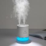 Battery 2000mAh Aroma Diffuser Night Light 650ml Double Spray Mini Usb