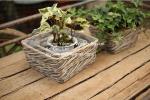 home dicorative wicker garden baskets willow flower plants baskets manufacturer
