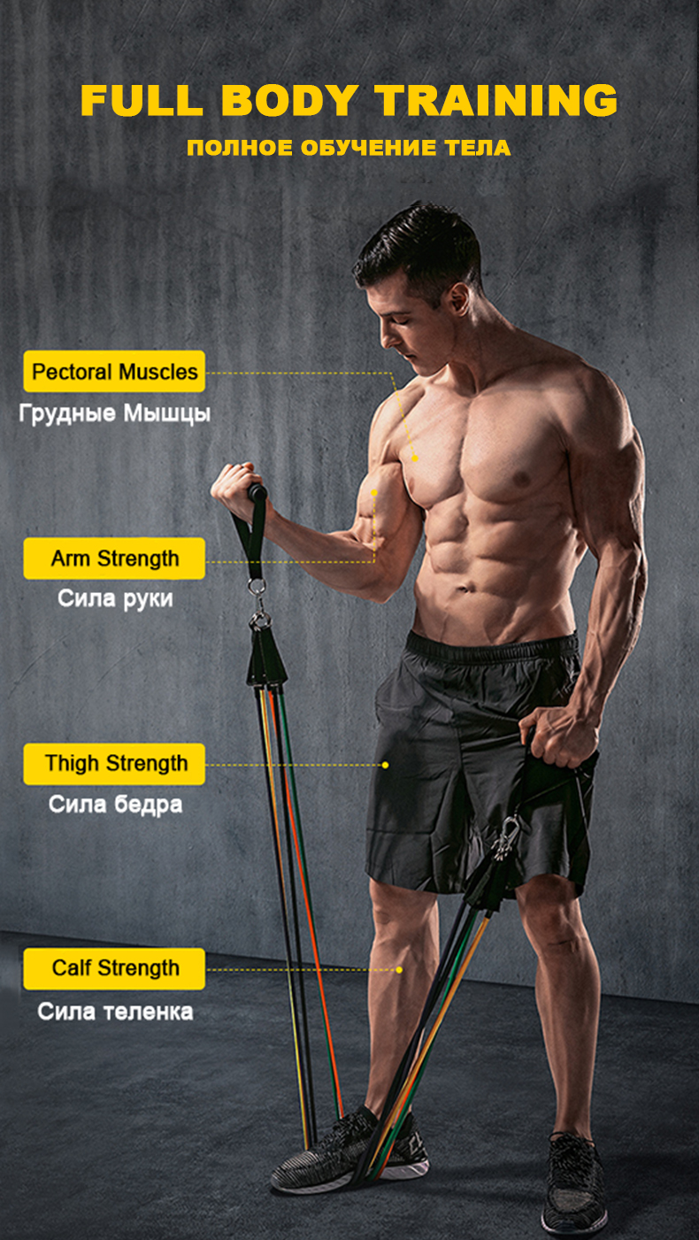 ZH 150lbs 11 Pcs Resistance Bands Set Bodylastics Fitness Equipment