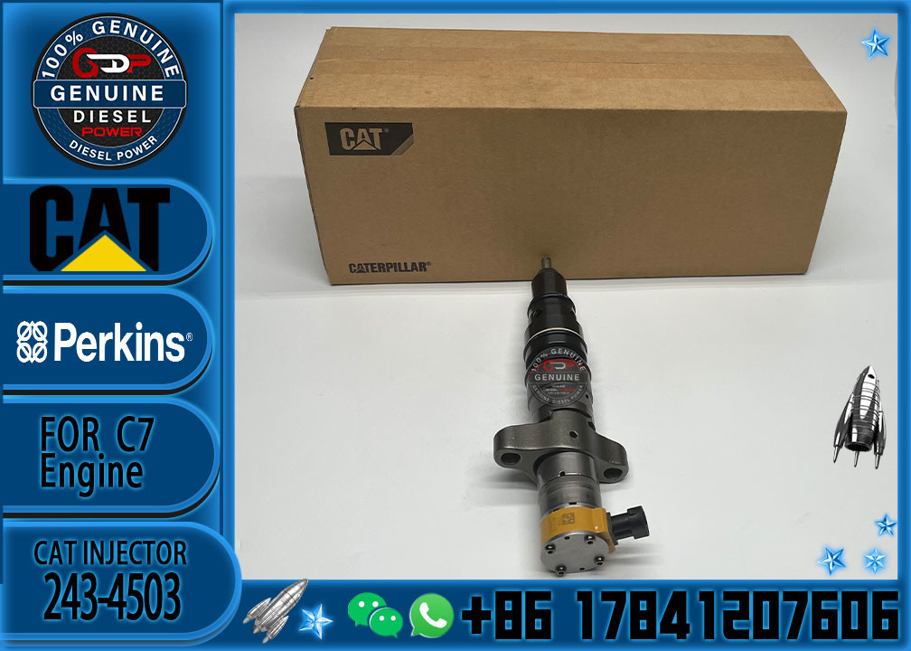 Diesel Engine Parts Common Rail Fuel Injector 243-4503 for CAT C7 Diesel Engine CNDIP Factory price