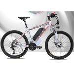 C6 Popular Electric Bikes Aluminum Alloy Frame With CE Certificate