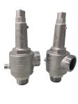 DN25 Spring Direct Acting Full Open Cryogenic Safety Valve -196~+80 ℃ For LNG