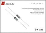 125V 250V Wire Wound Resistor Noncombustible Coated