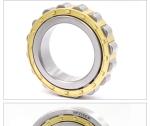 FAG Bearing Steel U20.223 NJP2216EM1C3 Cylindrical Roller Bearing Needle Roller