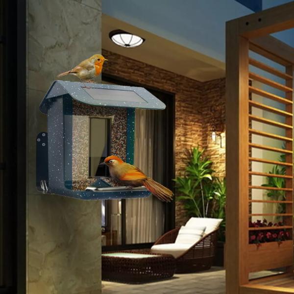 Cheap 2.4G WIFI Smart Bird Feeder Camera 2.5L Capacity For Outside OEM for sale