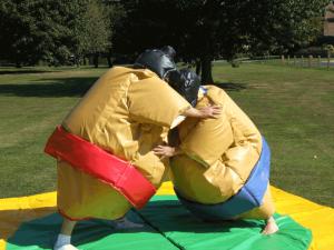 Quality Sumo Wresting Inflatable Amusement Park , Inflatable Carnival Games wholesale