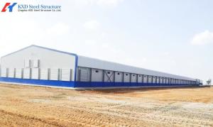 Quality Easy Clean Steel Poultry House Layer Hen House Steel Structure Chicken Broiler Shed wholesale