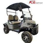 Off Road 2 Seater Golf Cart With 80km Range Yield Strength Carbon Steel Chassis