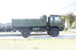 12.5R20 Tire 4X4 Truck for Off Road Cargo Transport in Africa's Extreme