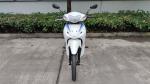 Chain Cover CDI CUB Motorcycle 110cc Moped Dual Sport Dirt Bike
