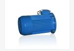 IE3 YE3 Series AC Electric Screw Motor 1440RPM 3Phase 15kw/20hp 220V/380V/415