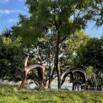 Sika Deer Casting Bronze Garden Statues Outdoor Decoration 80cm - 160cm
