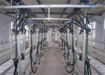 HL-G01 Dairy Farming 2x12 Goat Milking Parlor System with 6L Glass Milk Jar
