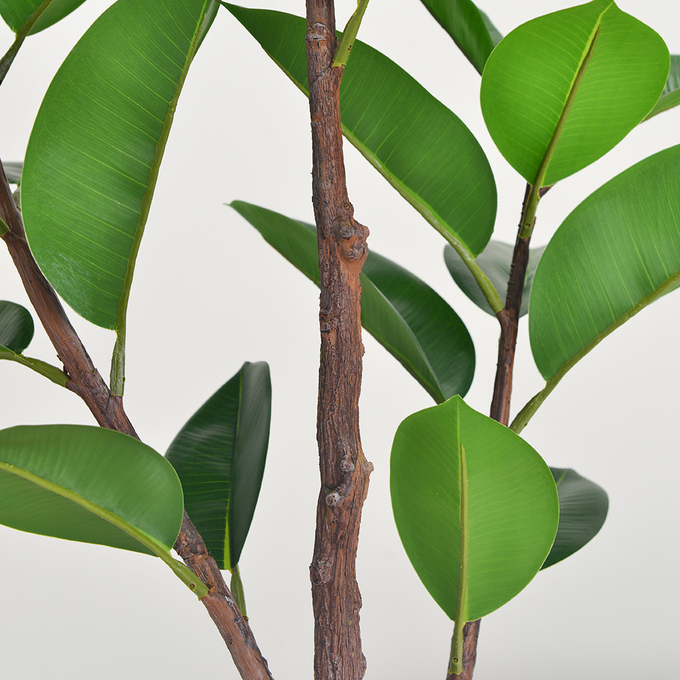 Artificial Potted Floor Plants Small Ficus Pandurata For Garden Decoration