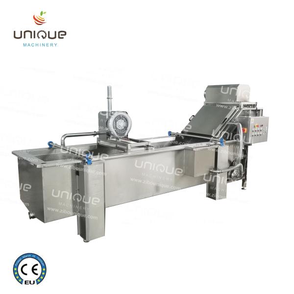 850 KG Capacity Leaf Vegetable Bubble Washing Line for Manufacturing Plant
