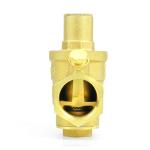 DN25 PN16 Brass Threaded Pressure Reducing Valve Customized