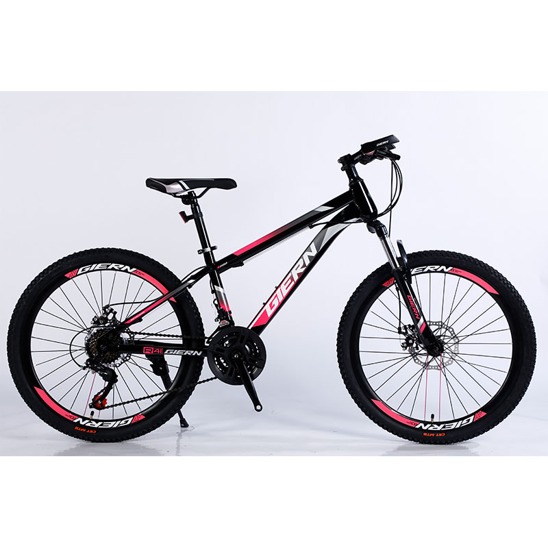 Performance TONGLI MICHANICAL DISC BRAKE Mountain Bike with Steel Rim