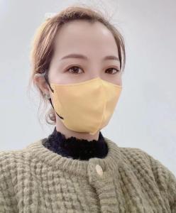 Quality Melt Blown Fabric 3D Protective Non Woven Face Mask Morandi Color wholesale