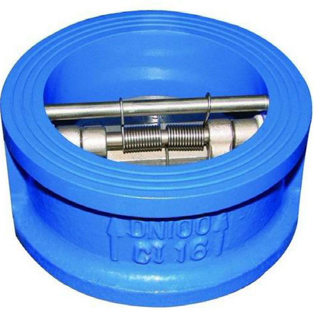 Marine Dual check valve