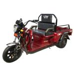 48V 20Ah Electric Tricycle With Passenger Seat