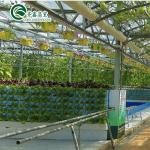 PO Film Protected Indoor Hydroponic Growing Systems for Greenhouse