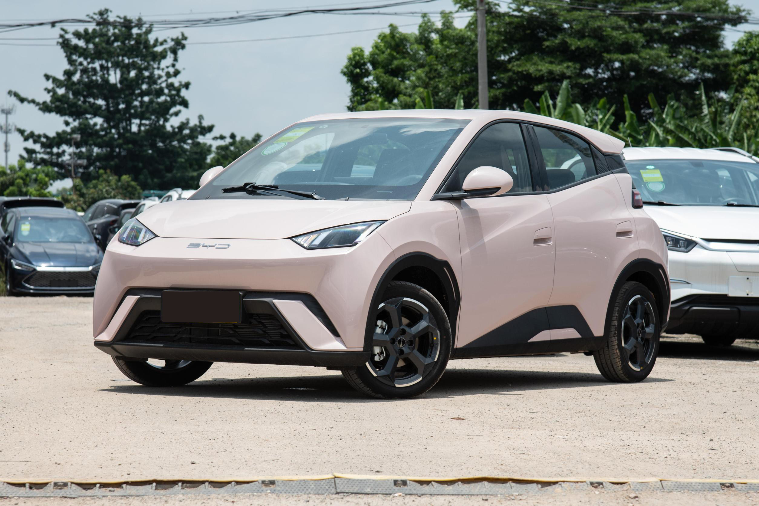 305 KM Long Range 2024 BYD Seagull Electric Car 5-Door Hatchback EV for Sale in Chinese Market