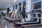 Commercial Treadmill