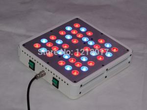 Quality hot new products for 2016 200w led lighting for medical plants 5w chip full spectrum led g wholesale