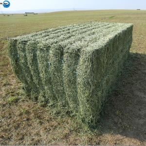 Quality High Quality PP Twine Manufacture Baler Twine For Agriculture In China wholesale