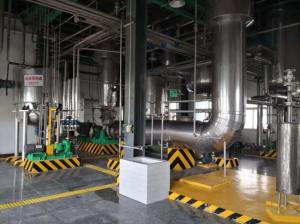 Quality 12T/H Sodium Chloride Mvr Evaporator Crystallization CE wholesale