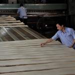 Artificial Wood Veneer of Golden Tree Ring 0.30mm G.TR-X3388 Slice Cut For