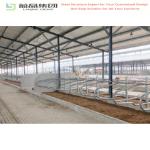Prefabricated Steel Structure Metal Chicken Layer Broiler Poultry Farm House
