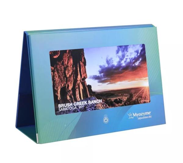 customized hard cover advertising gifts A4 size 10 inch LCD screen calendar