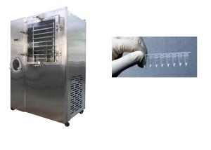 Quality Vacuum Stayfresh Freeze Dryer 6kg/Batch Capacity Automatic wholesale