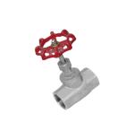 Threaded Gate Globe Valve 304 Stainless Steel High Temperature Resistant DN15 25