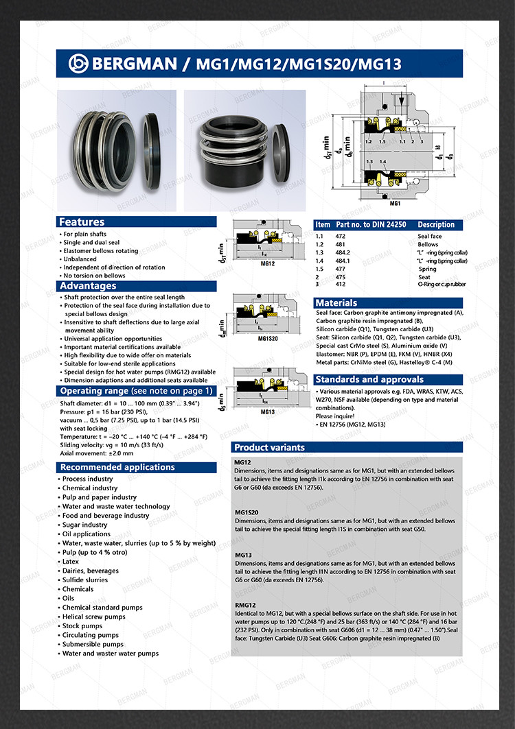 BERGMAN 109/MG1-12mm-110mm G60 G4 G6 G9 G13 G16 BS Bo BP Pump Mechanical Seal