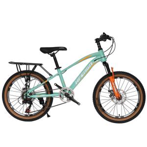 Quality 20inch Lightweight Mountain Bike Junior MTB Bike With Carrier 7 Gear wholesale
