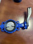 1 Inch Sanitary Stainless Steel Pneumatic Butterfly Valve with Customized