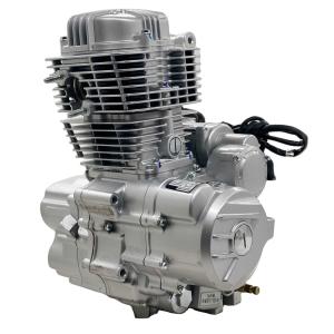Quality DAYANG 200cc Tricycle Air Cooling Engine for Peru Three Wheel Motorcycle Trike Engine wholesale