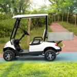 OEM Electric UTV Community Golf Carts 2 Seats 60v