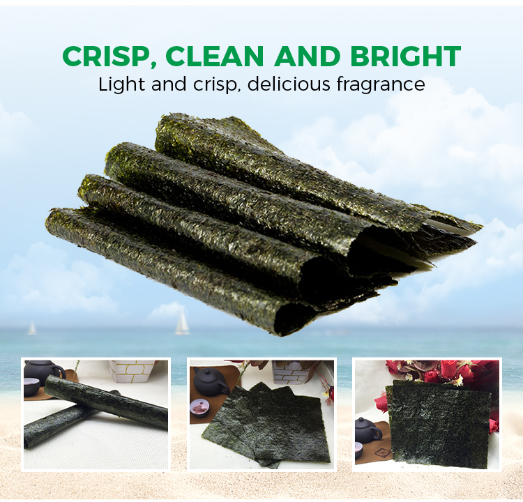 Seaweed Nori Sheets 21cm Length for Sushi Making Natural and Raw Materials Collection
