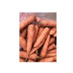 green beans peas Broad bean peeling washing freezing machine cow pea kidney bean