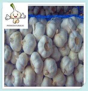 Quality High Quality Quick Delivery China Garlic Price High Class Bulk Garlic For Sale wholesale