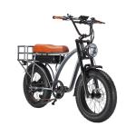 Electric Fat Bike 500W 750W Super Nice 73 Electric Bike with 48V 18AH Lithium