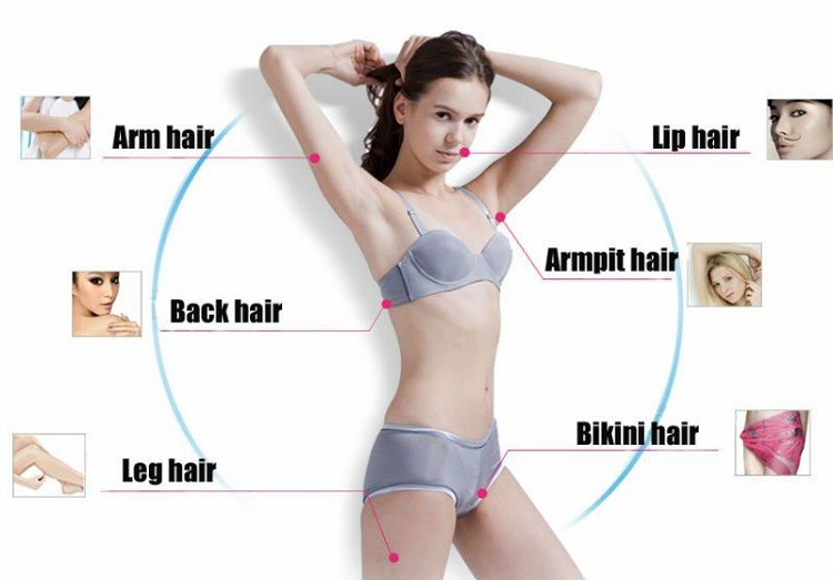 Vertical 3 In 1 Pain Free Laser Hair Removal Machines / Laser Skin Care Machine
