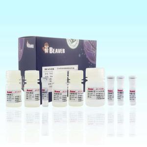 Quality BeaverBeads Wastewater Nucleic Acid Kit Medical Wastewater Detection wholesale