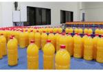 Professional Fruit Juice Production Line Stainless Steel Material