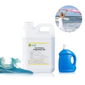 Quality Splendid Fantasy Ocean Detergent Fragrances Scented Laundry Detergent Oil wholesale